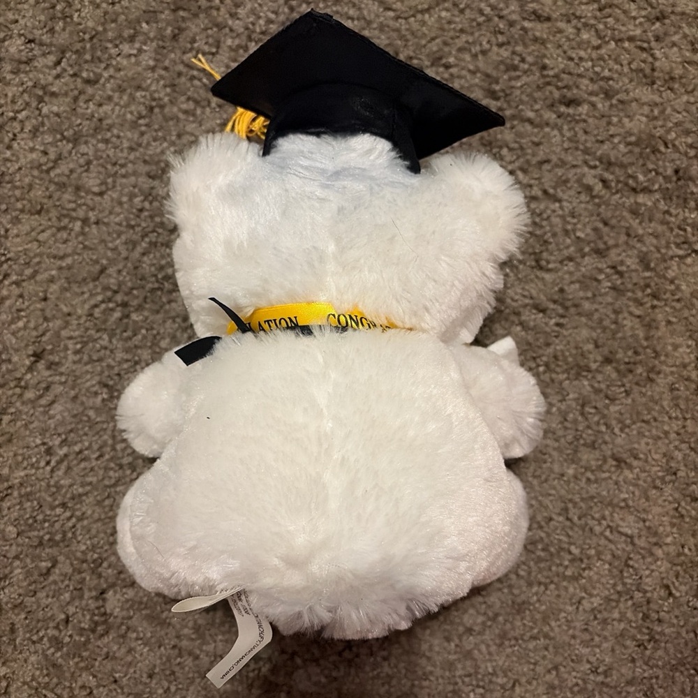 Graduation Teddy Bear with Cap
